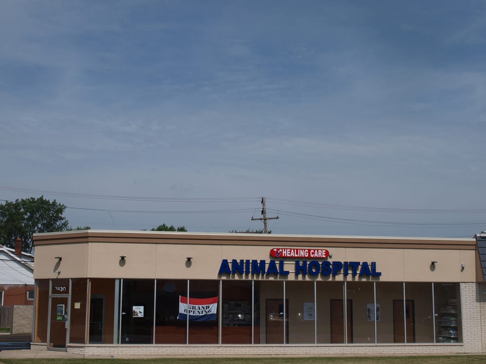 Healing Care Animal Hospital - 13 Reviews - Veterinarians - 7430 Allen