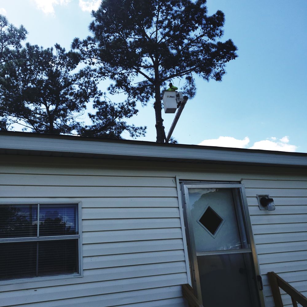 Hernandez Cruz Tree Removal & Stump Grinding