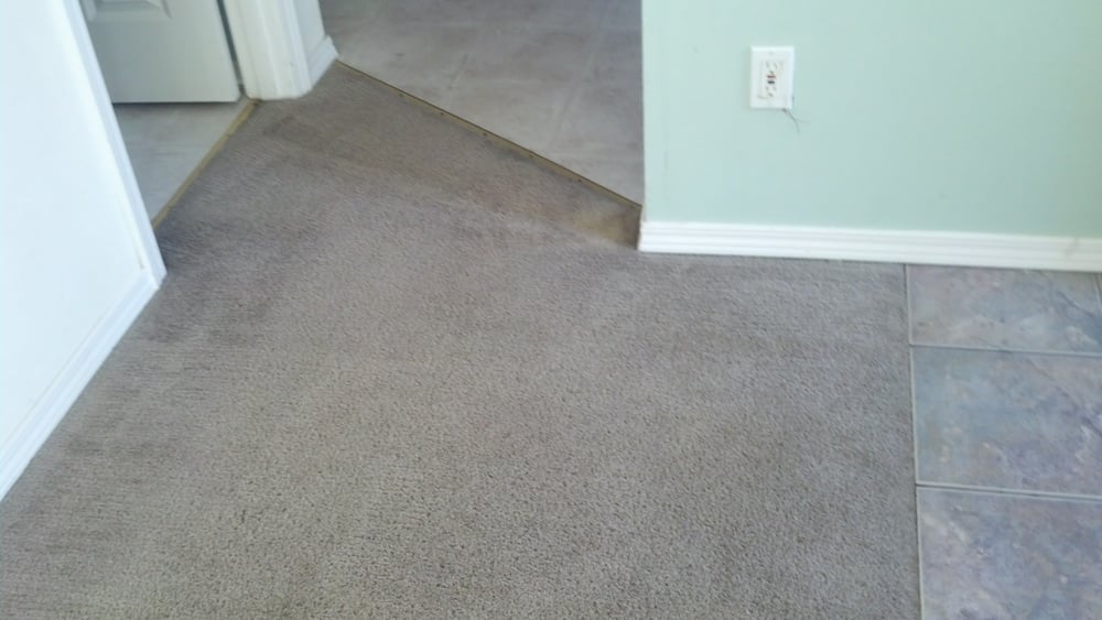 Photos For Cloud 9 Carpet Cleaning Yelp Photo Of Cloud 9 Carpet Cleaning Lynnwood Wa United States