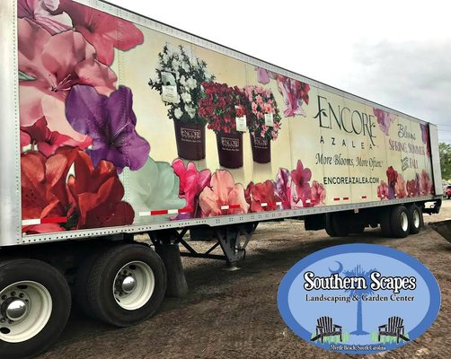 Southern Scapes 1310 Highway 501 Myrtle Beach Sc Landscaping Mapquest Photos 10