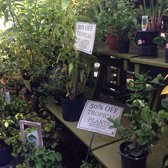 Johnson S Florist Garden Center Closed 62 Reviews Nurseries Photo Of Johnson S Florist Garden Center Washington Dc United States Im