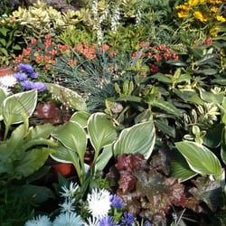 Gartencenter Rennbahnstraße