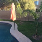 Treeland Nurseries 18 Photos 33 Reviews Gardening Photo Of Treeland Nurseries Mesa Az United States Queen Palms By The