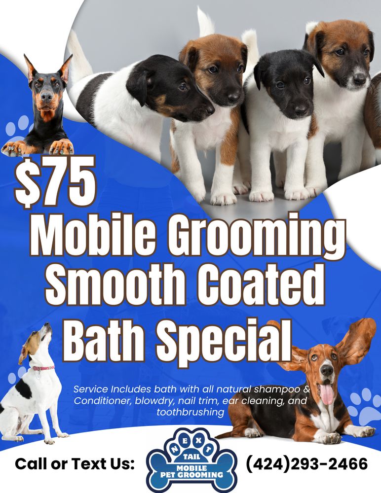 Service Dog Parlour Near Me Mobile Dog Holistic Dog Groomers Near