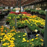 Bates Nursery And Garden Center 22 Photos 20 Reviews Nurseries Photo Of Bates Nursery And Garden Center Nashville Tn United States