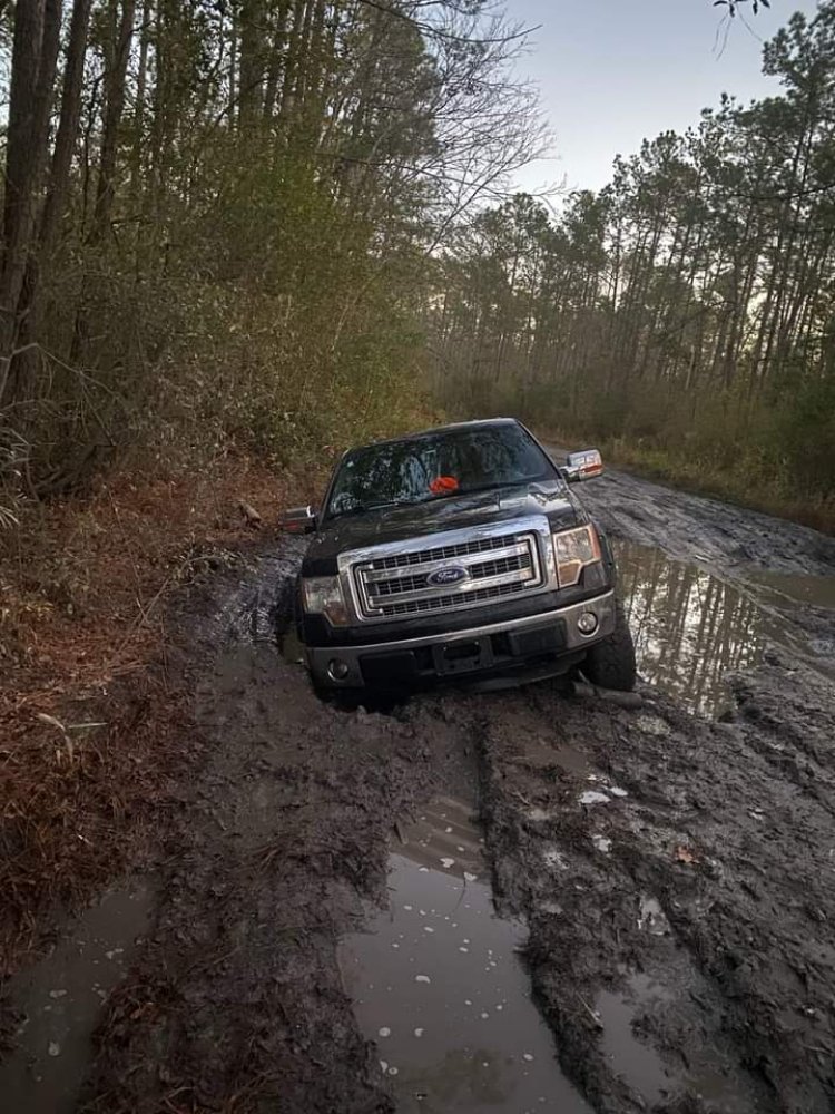 252 Off Road Recovery