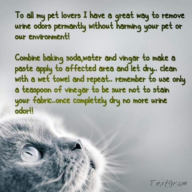 Enviro-Friendly Cleaning Service