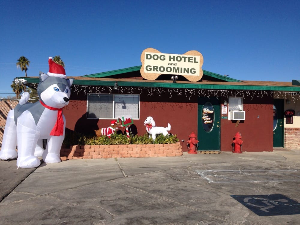 Just Like Home Doggie Hotel Las Vegas Just Like Home Doggie Hotel Las Vegas