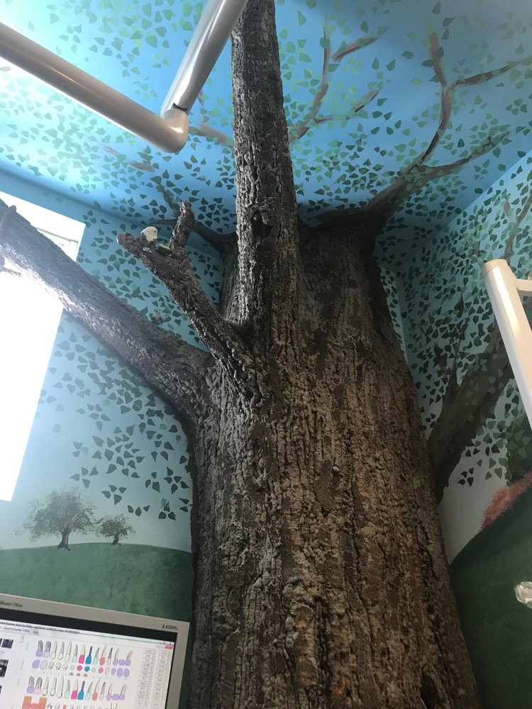 image of business Caryn Massari-Wilson, DDS