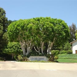 Tree Service San Diego  Photo of Crown Point Clippers Tree Service - San Diego, CA, United States.
