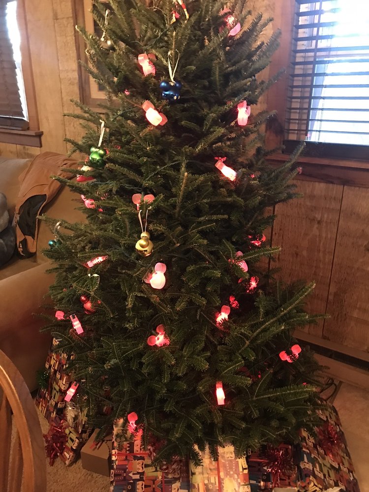 Swiss Mountain Village