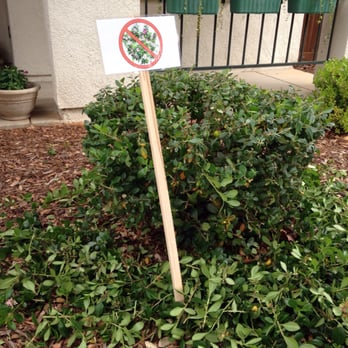 Valleycrest Landscape Maintenance 5745 Alder Ave Sacramento Ca Photo Of Valleycrest Landscape Maintenance Sacramento Ca United States Sign Was Ignored