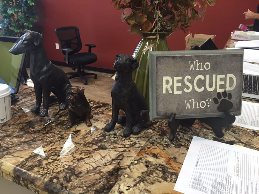 Who rescued who? Yelp