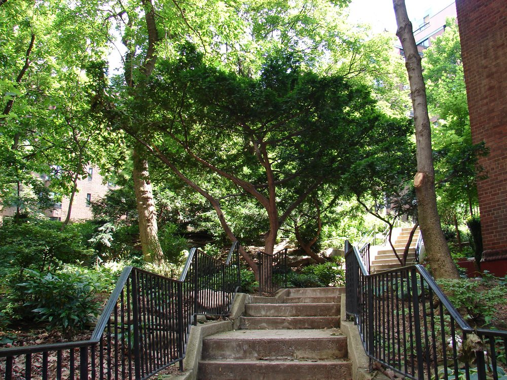 Park Terrace Gardens