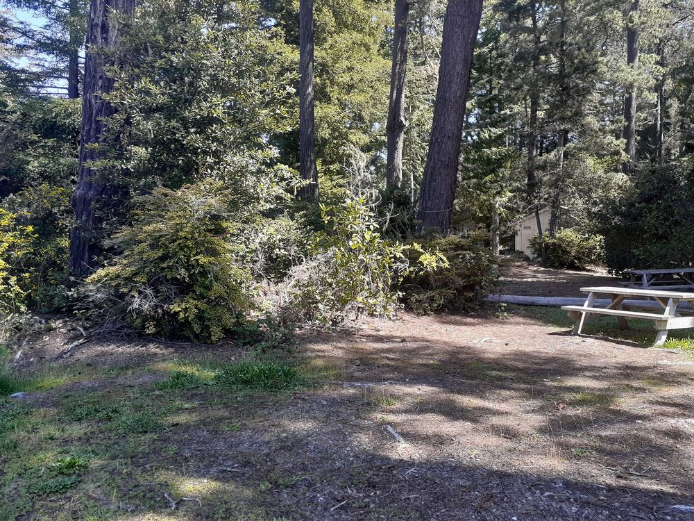 Available RV Rentals Point Arena, CA %business_name