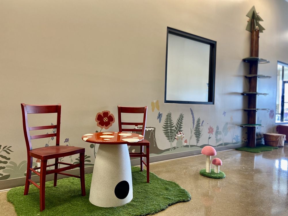 Black Forest Cat Cafe