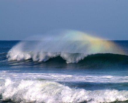 Coastal Outer Banks Realty