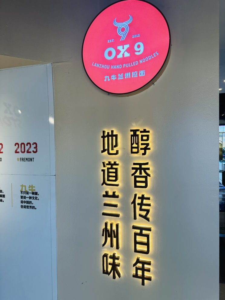 Ox 9 Lanzhou Handpulled Noodles