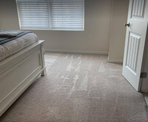 Stripes Carpet Cleaning