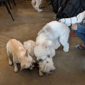 Photo of Boris & Horton - New York, NY, United States