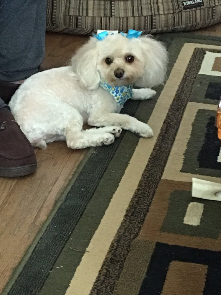 Mt Vernon Veterinary Hospital 23 Reviews Veterinarians 2120 E