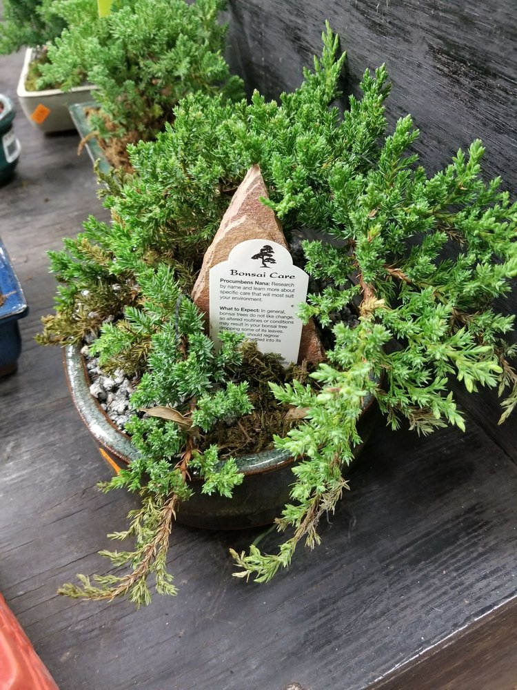 Photos for Metropolitan Plant and Flower Exchange Yelp