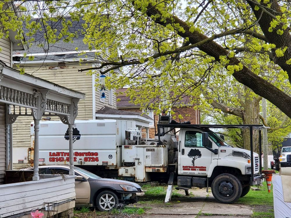 L&D Tree Service