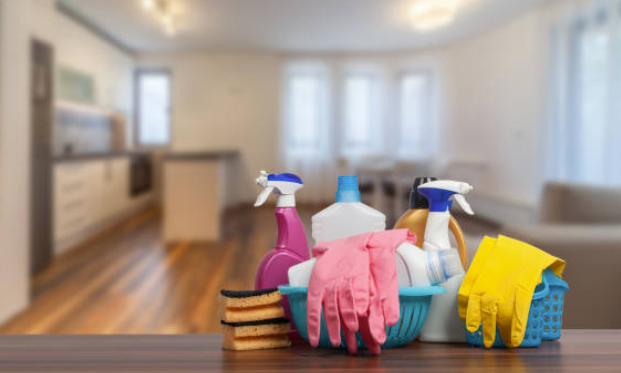 Suzys House Cleaning