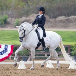 The Good Ride >> Always A Good Ride The Event Simulator Horseback Riding 4066 The Good Ride >> Always A Good Ride The Event Simulator Horseback Riding 4066