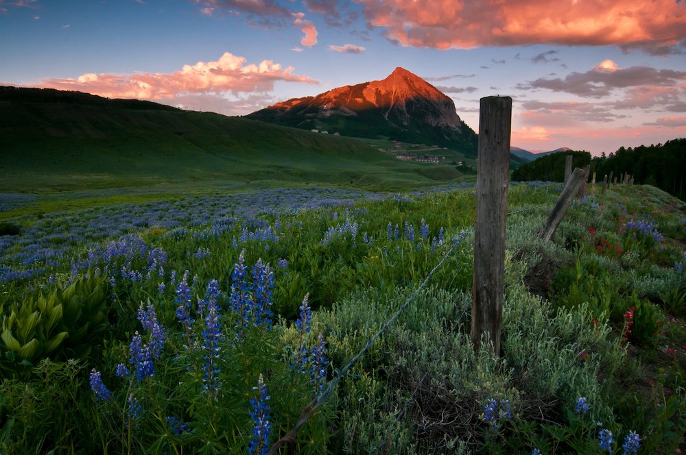 Kiley Flint - Crested Butte Collection