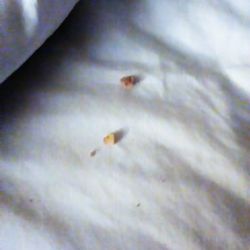 Days Inn Chillicothe Hotels 606 W Business Highway 36 Photo Of Days Inn Chillicothe Mo United States Found That In