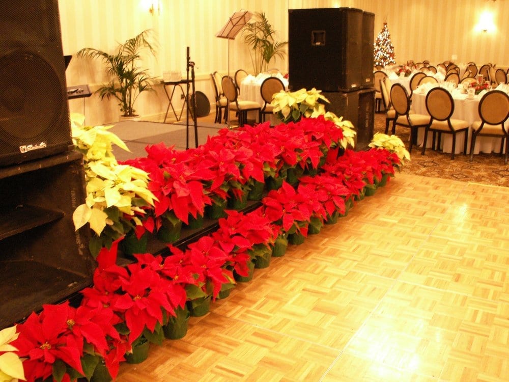 Stage Decoration For Your Christmas Party - Yelp Photo of Flowers By Robert Taylor - West Covina, CA, United States. stage - Stage Decoration For Your Christmas Party - Yelp