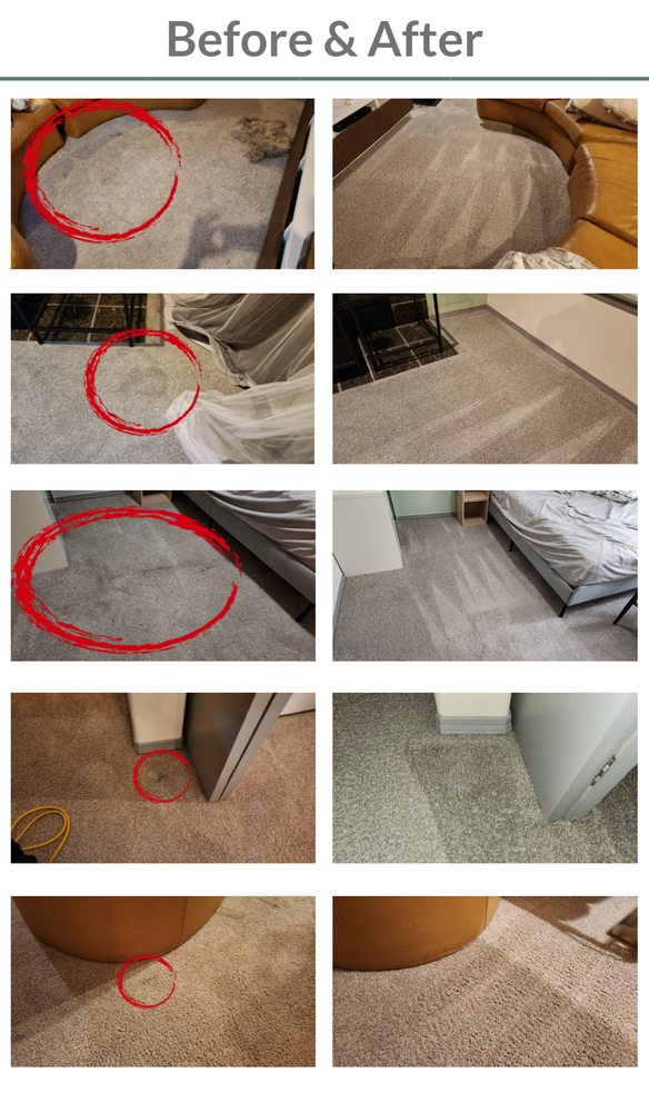 Greenworks Carpet Cleaning