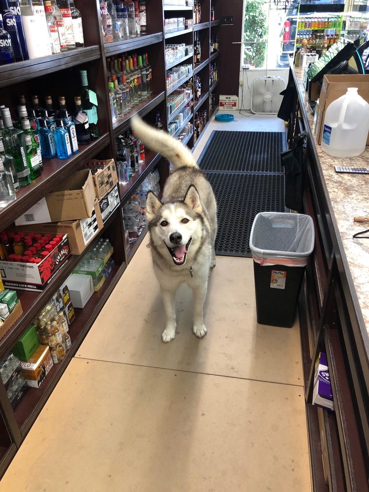 Cask & Wine Shop Liquor