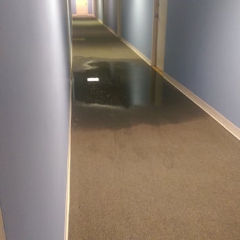 The Darlington 16 Photos 24 Reviews Apartments 2025 Photo Of The Darlington Atlanta Ga United States Apartment Next Door Had