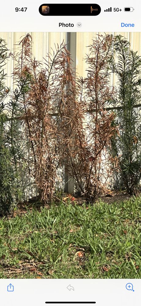 Jf Nursery & Landscaping
