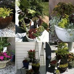 Jana Miller Landscape Design 13 Photos Landscaping Jana Miller Landscape Design 13 Photos Landscaping