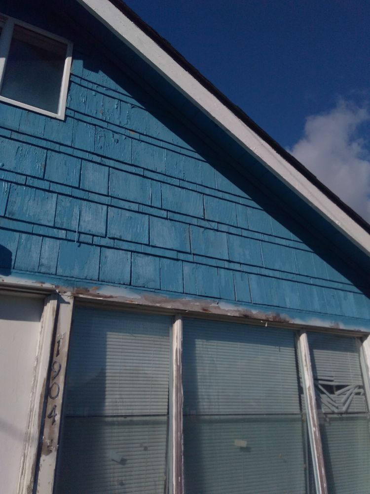 image of business Major Paint Plus