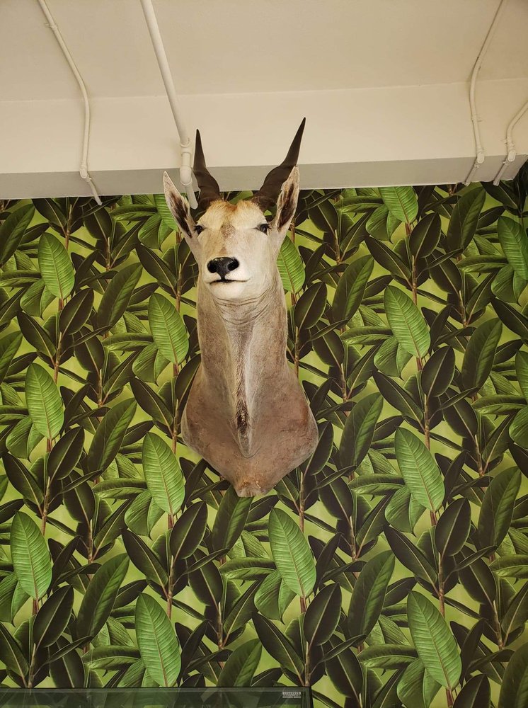 The Parlour Antiques & Oddities