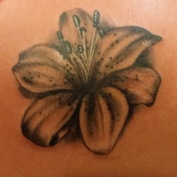 pitbull tattoo clinic 21 photos tattoo 700 seaboard st pitbull tattoo clinic 21 photos tattoo 700 seaboard st