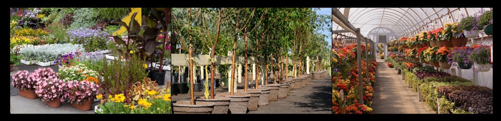 H & R Landscaping