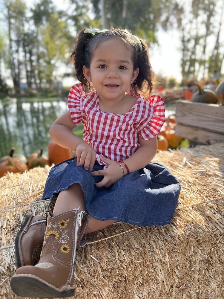 Banducci's Family Pumpkin Patch