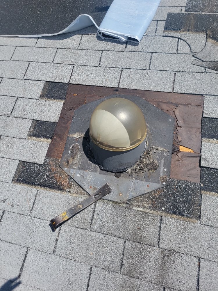 That Roof Repair Guy