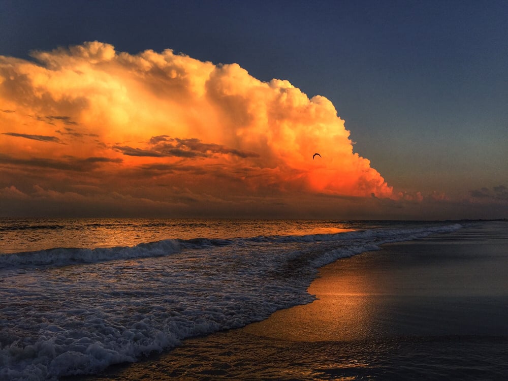 Cocoa Beach 149 Photos & 82 Reviews Beaches 1033 S Atlantic Ave