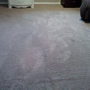 Cloud9 Carpet Cleaning Closed Eugene Or Before Photo Of Cloud9 Carpet Cleaning Eugene Or United States