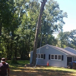 Photo of Internet Tree Service - Washington, DC, United States. Hazardous removal experts ... Tree Service Washington Tree Service Washington Photo of Internet Tree Service - Washington, DC, United States. Hazardous removal experts ...