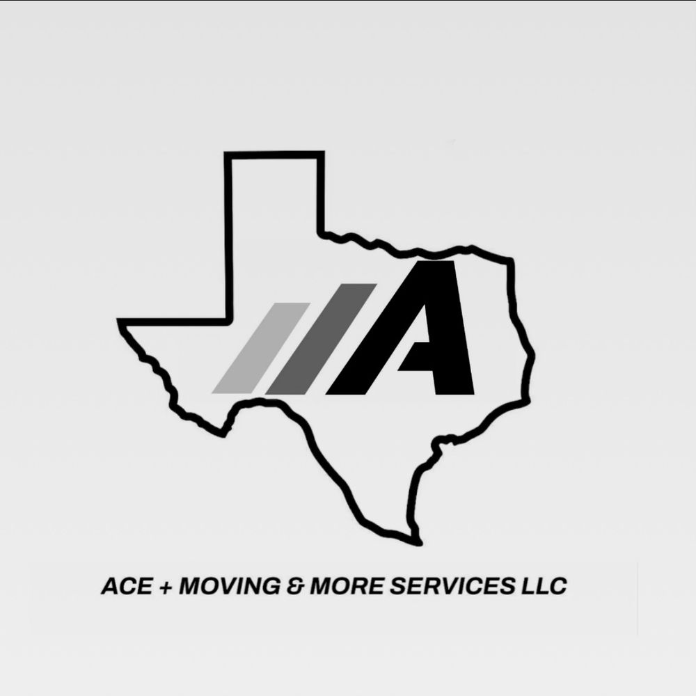 image of business ACE Plus Services