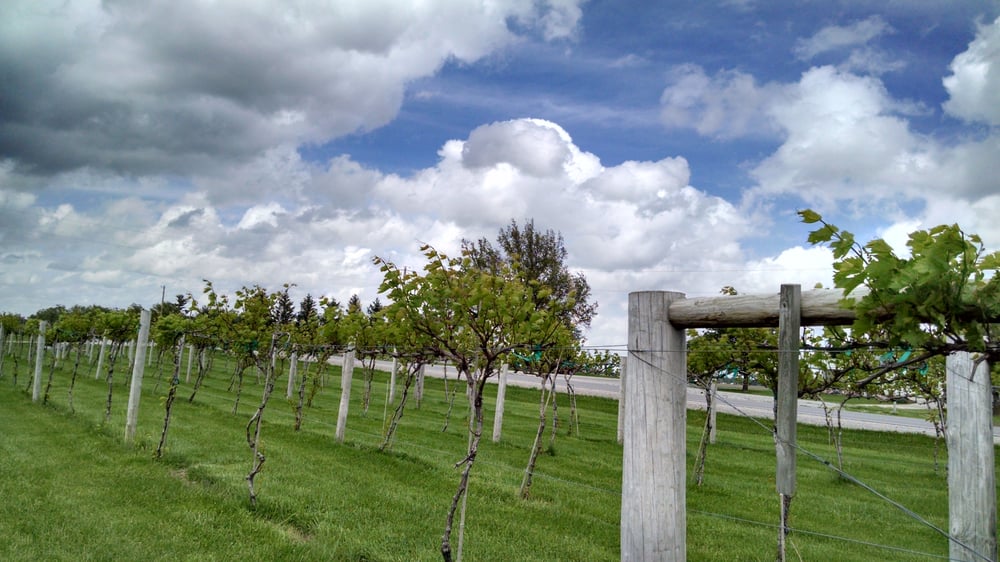 Fireside Winery 27 Photos & 18 Reviews Wineries 1755 P Ave