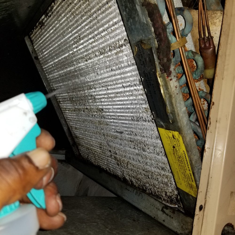 image of business AC Supreme