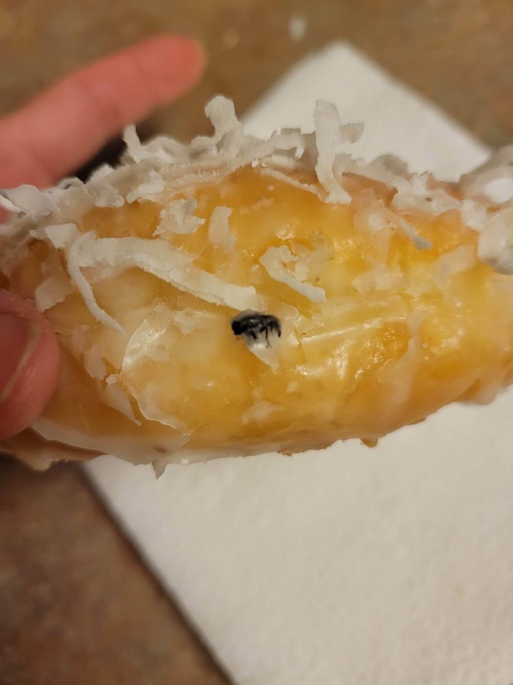 Manna Donuts